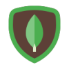 icons8-mongodb-144
